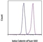 beta Catenin Antibody in Flow Cytometry (Flow)