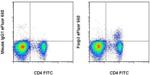 FOXP3 Antibody in Flow Cytometry (Flow)