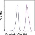 Podoplanin Antibody in Flow Cytometry (Flow)