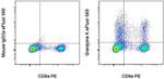 Granzyme K Antibody in Flow Cytometry (Flow)