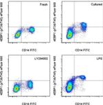 Phospho-4EBP1 (Thr36, Thr45) Antibody in Flow Cytometry (Flow)