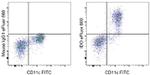 IDO Antibody in Flow Cytometry (Flow)