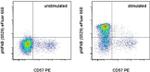 Phospho-NFkB p65 (Ser529) Antibody in Flow Cytometry (Flow)