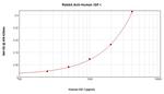 IGF1 Antibody in ELISA (ELISA)