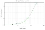 CXCL10 Antibody in ELISA (ELISA)