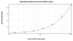 RANKL (soluble) Antibody in ELISA (ELISA)