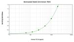 TECK Antibody in ELISA (ELISA)