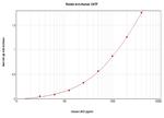 CNTF Antibody in ELISA (ELISA)