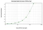 TNFR1 (soluble) Antibody in ELISA (ELISA)