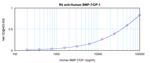 BMP-7 Antibody in ELISA (ELISA)