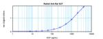 SCF Antibody in ELISA (ELISA)