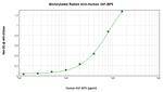 IGFBP5 Antibody in ELISA (ELISA)