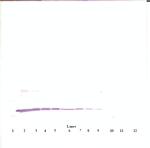 IL-3 Antibody in Western Blot (WB)