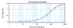 Endostatin Antibody in ELISA (ELISA)