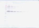 MMP2 Antibody in Western Blot (WB)