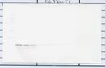 Amphiregulin Antibody in Western Blot (WB)