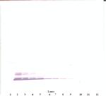 CCL3 Antibody in Western Blot (WB)