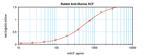 SCF Antibody in ELISA (ELISA)