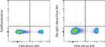 Rat IgG1 kappa Isotype Control in Flow Cytometry (Flow)