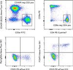 FOXP3 Antibody in Flow Cytometry (Flow)