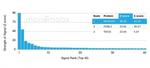 NEUROG3/Neurogenin 3/NGN3 (Transcription Factor) Antibody in Peptide array (ARRAY)