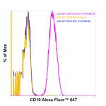 CD10 Antibody in Flow Cytometry (Flow)