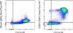 CD88 (C5aR1) Antibody in Flow Cytometry (Flow)