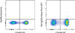 Rat IgG2b kappa Isotype Control in Flow Cytometry (Flow)