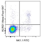 KLRG1 Antibody in Flow Cytometry (Flow)