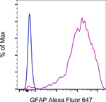 GFAP Antibody in Flow Cytometry (Flow)