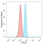 ZBTB7B Antibody in Flow Cytometry (Flow)