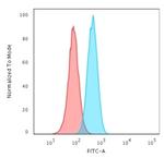 PCNA (Proliferating Cell Nuclear Antigen) (G1- and S-phase Marker) Antibody in Flow Cytometry (Flow)