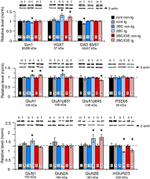 Synapsin 1 Antibody in Western Blot (WB)