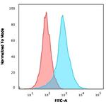 CD31/PECAM-1 (Endothelial Cell Marker) Antibody in Flow Cytometry (Flow)