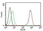 CD31/PECAM-1 (Endothelial Cell Marker) Antibody in Flow Cytometry (Flow)