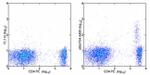 CD25 Antibody in Flow Cytometry (Flow)