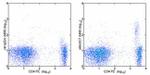 CD25 Antibody in Flow Cytometry (Flow)