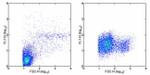 CD107a (LAMP-1) Antibody in Flow Cytometry (Flow)