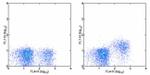 CD127 Antibody in Flow Cytometry (Flow)