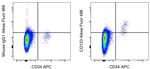 CD133 (Prominin-1) Antibody in Flow Cytometry (Flow)