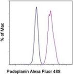 Podoplanin Antibody in Flow Cytometry (Flow)