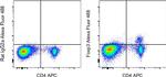 FOXP3 Antibody in Flow Cytometry (Flow)