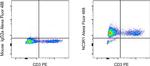 Glucocorticoid receptor (NR3C1) Antibody in Flow Cytometry (Flow)