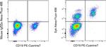 Syk Antibody in Flow Cytometry (Flow)