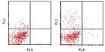 IL-17A Antibody in Flow Cytometry (Flow)