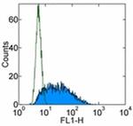 TNF alpha Antibody in Flow Cytometry (Flow)