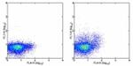 TNF alpha Antibody in Flow Cytometry (Flow)