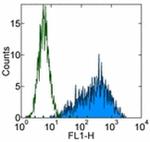 SSEA3 Antibody in Flow Cytometry (Flow)