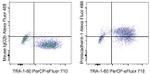 PCDH1 (Protocadherin 1) Antibody in Flow Cytometry (Flow)