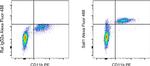 Sall1 Antibody in Flow Cytometry (Flow)